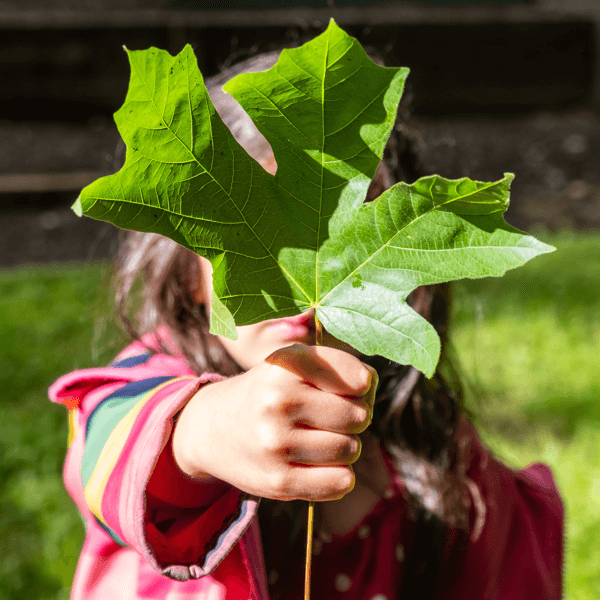 Protection de l'environnement