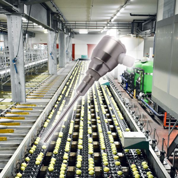 Temperature sensors for the food and pharmaceutical industries